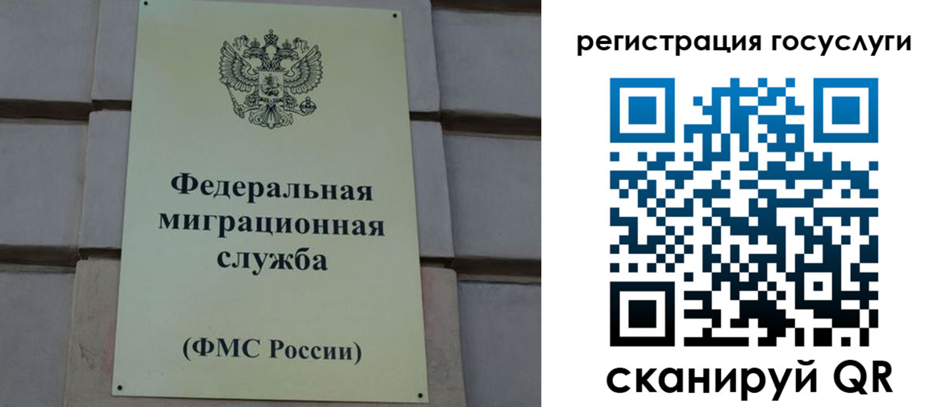 временная регистрация поиск в Оренбургской области